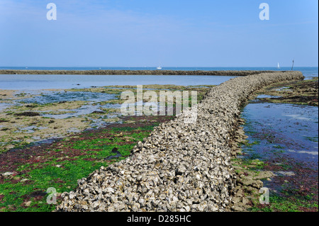 Blocco di pesce / écluse, il modo tradizionale di intrappolando pesce a bassa marea sull'isola Ile de Ré, Charente-Maritime, Francia Foto Stock