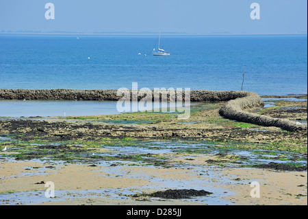 Blocco di pesce / écluse, il modo tradizionale di intrappolando pesce a bassa marea sull'isola Ile de Ré, Charente-Maritime, Francia Foto Stock