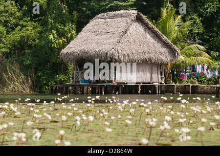 Guatemala, lago Izabal. I popoli indigeni abitazione sul lago Izabal (Lago de Izabal), Guatemala. Foto Stock