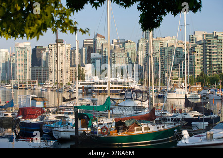 COAL HARBOUR DAL ROYAL VANCOUVER YACHT CLUB PARCO STANLEY skyline di downtown Vancouver British Columbia CANADA Foto Stock