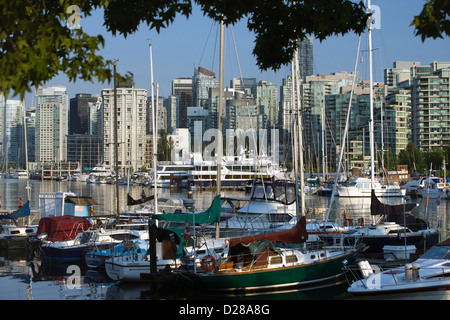 COAL HARBOUR DAL ROYAL VANCOUVER YACHT CLUB PARCO STANLEY skyline di downtown Vancouver British Columbia CANADA Foto Stock