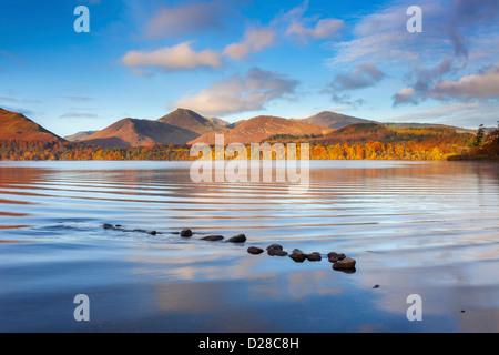 Derwent Water catturato da vicino Friar's roccioso nel Parco Nazionale del Distretto dei Laghi. Initialy l'acqua era calma, fino a quando non concentrica Foto Stock