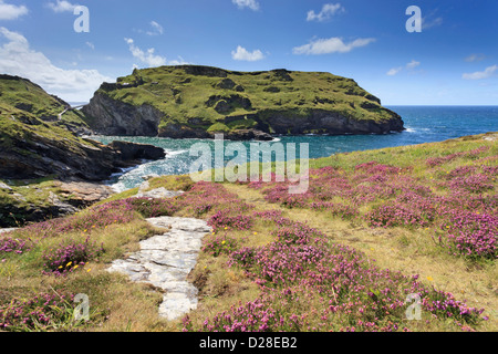 Il castello di Tintagel in Cornovaglia, catturate da Barras naso quando il heather era in piena fioritura Foto Stock