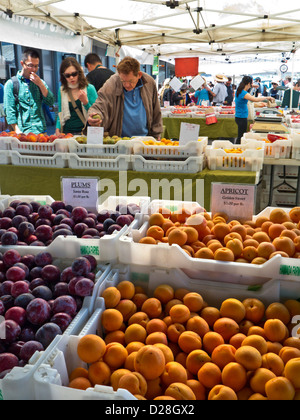 Popolare Mercato degli Agricoltori dei frutti in stallo al Ferry Building Embarcadero San Francisco California USA Foto Stock