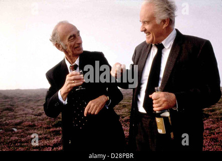 Lang Lebe Ned Devine Riattivazione Ned Devine David Kelly, Ian Bannen Die beiden Rentner Michael OÃ Â'Sullivan (David Kelly) und Foto Stock