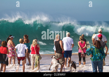 Una folla di persone e cani guardando le onde enormi a rompere il cuneo di Newport Beach in California Foto Stock