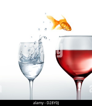Pesce d'oro sorridente saltando da un bicchiere di acqua ad un bicchiere di vino rosso. Su sfondo bianco. Foto Stock
