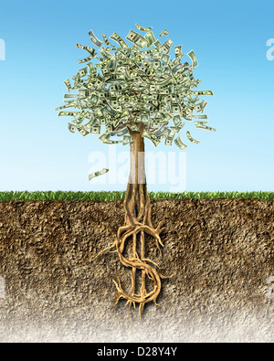 Money Tree in suolo sezione trasversale mostrante US dollar sign radici. Foto Stock