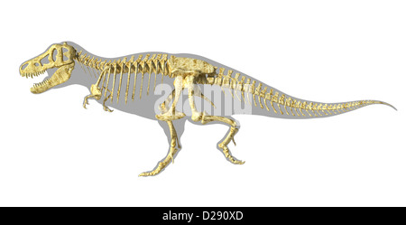 T-Rex dinosauro foto realistiche di scheletro completo, scientificamente corretta. vista laterale con il corpo silhouette. Percorso di clipping incluso. Foto Stock
