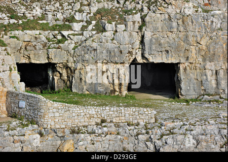 Tilly Capriccio cava e grotte presso il punto di incudine, Durlston testa sull'Isola di Purbeck, Jurassic Coast in Dorset, Inghilterra meridionale, Regno Unito Foto Stock