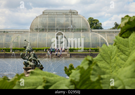 Palm House di Kew Gardens, Surrey UK e dei giardini circostanti. Foto Stock
