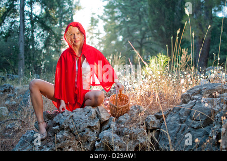 Little Red sgombrare il cofano nella foresta Foto Stock