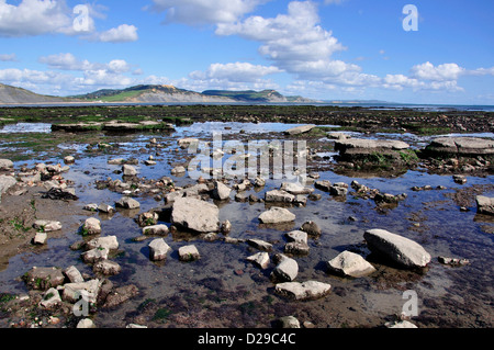 Ampio risalto Lyme Regis Dorset Foto Stock