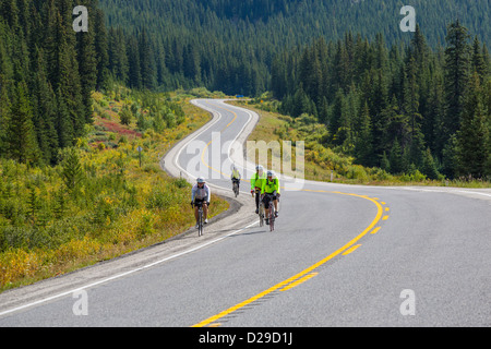 Percorso 40 a Kananaskis Paese in Alberta Canada Foto Stock