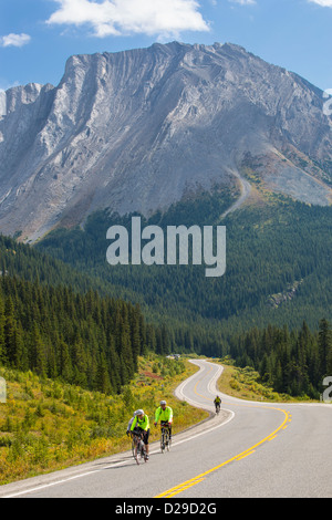 Percorso 40 a Kananaskis Paese in Alberta Canada Foto Stock