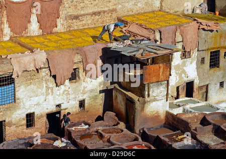 Uomini al lavoro nelle concerie, Fez, in Marocco Foto Stock