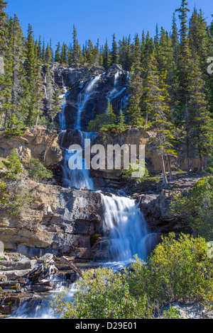 Groviglio Creek cascate del Parco Nazionale di Jasper in Alberta Canada Foto Stock