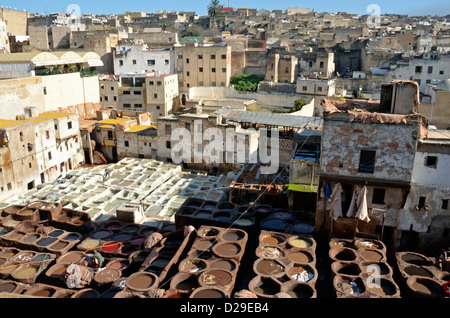 Uomini al lavoro nelle concerie, Fes, Marocco Foto Stock