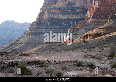 Tour in Elicottero in arrivo a terra su pad giù nel Grand Canyon Arizona USA Foto Stock