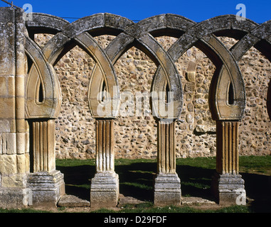 San Juan de Duero. Archi intrecciati del chiostro. XIII secolo. Foto Stock