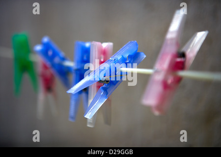 Spina di vestiti Foto Stock