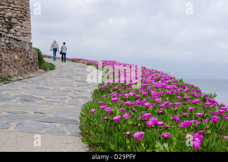 Un paio di passeggiate lungo un sentiero circondato da fiori di colore rosa Foto Stock