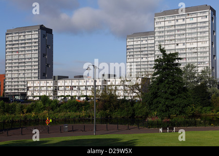 Alloggiamento blocchi a torre nella zona Gorbals di Glasgow, Scotland, Regno Unito Foto Stock