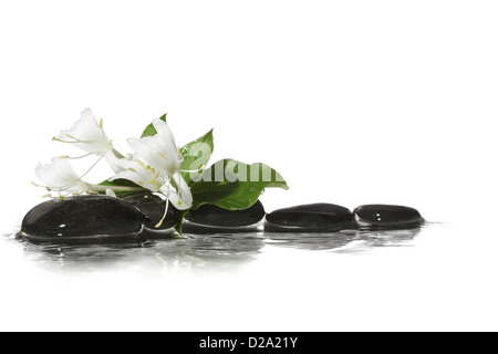 Pietra su acqua con fiori Foto Stock