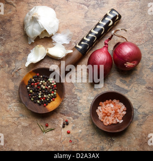 Aglio, cipolle, Peppe e sale marino Foto Stock