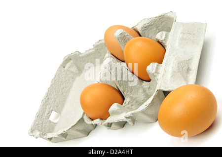 Aprire la casella di uova fresche e uova marrone su bianco Foto Stock