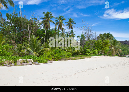 Isola di Cerf Himmel L'Habitation de Cerfs Foto Stock