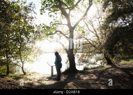 Donna di placca di lettura nella foresta Foto Stock