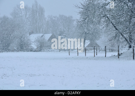 La neve cade sul terreno coltivato in gennaio (Nord Mayenne, Paese della Loira, Pays de la Loire,Francia,l'Europa). Foto Stock