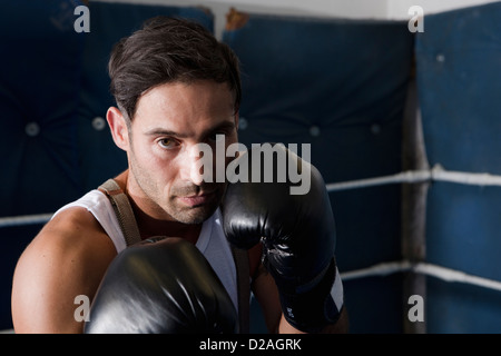Boxer con pugni sollevata nell'anello Foto Stock