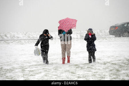 Brighton SUSSEX REGNO UNITO. 18 Gennaio 2013 - Una famiglia di battaglie attraverso a Woodingdean vicino a Brighton questa mattina come condizioni di Blizzard ha reso quasi impossibile da ottenere attraverso la fotografia scattata da Simon Dack/Alamy Live News Foto Stock