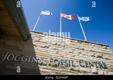 I fossili di Joggins Center a Falesie fossilifere di Joggins in Nova Scotia, Canada Foto Stock