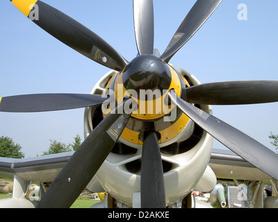 Fairey Gannet AEW3, Royal Navy XL450, CN F9433 Foto Stock