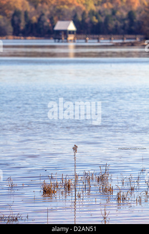 Un piccolo molo di pesca si estende fuori in un lago Foto Stock