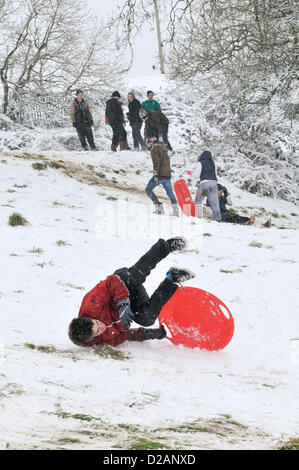 Cardiff, Regno Unito. Venerdì 18 Gennaio 2013. Cardiff, Regno Unito. Un adolescente assume un capovolgimento dopo lo slittino giù per la collina alla periferia di Cardiff, Regno Unito. Tutte le scuole a Cardiff dove oggi chiusa dopo la neve caduta durante la notte che è di continuare nel fine settimana. Il Met Office britannico ha emesso un avviso cattivo tempo per il Sud Est del Galles. Foto Stock