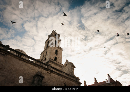 Gli uccelli volando sopra la torre della cattedrale Foto Stock