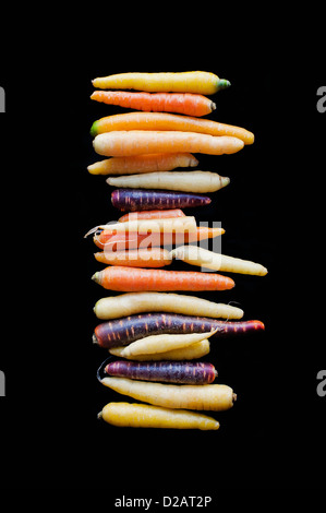 Stack colorati di ortaggi a radice Foto Stock