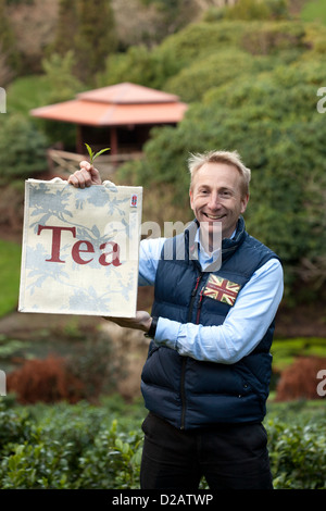 Direttore Commerciale Jonathan Jones nella valle himalayana Tregothnan in estate la piantagione di tè vicino a Truro, Cornwall Foto Stock