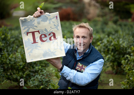 Direttore Commerciale Jonathan Jones nella valle himalayana Tregothnan in estate la piantagione di tè vicino a Truro, Cornwall Foto Stock