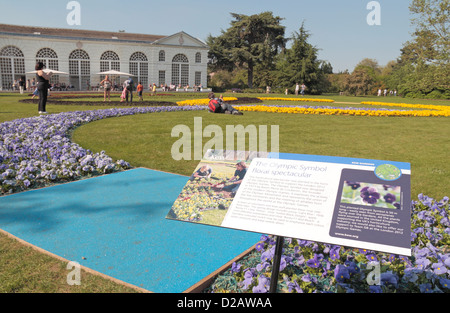 Fiori disposti in forma di anelli olimpici al di fuori del ristorante Orangery, Royal Botanic Gardens, Kew, Surrey, Regno Unito. Foto Stock