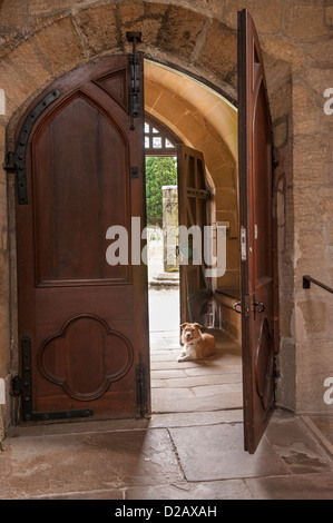 Close-up di porte in legno (1 aperto e uno chiuso) al portico dove un cane di piccola taglia è giacente - Interno della chiesa di Santa Maria, Masham, nello Yorkshire, Inghilterra, Regno Unito. Foto Stock