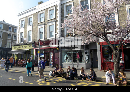 Regno Unito London borough di kensington e chelsea elgin crescent Foto Stock