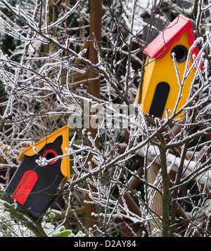 Nido di uccelli scatole in un arbusto ricoperto con trasformata per forte gradiente frost Foto Stock