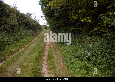 Il 'Sunken Lane' vicino a Beaumont Hamel che ha guadagnato la fama come il punto di partenza per un catastrofico attacco inglese a partire dal 1 luglio 1916 Foto Stock