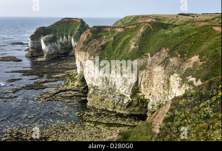 Le alte scogliere di gesso e il promontorio a Flamborough Head giacente sulla costa dello Yorkshire di Inghilterra, tra Filey e Bridlington. Foto Stock