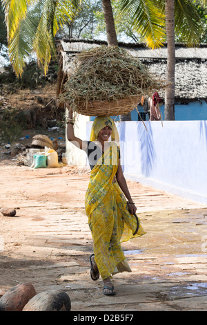 Rurale villaggio indiano donna che trasportano il taglio della vegetazione per mangimi per il bestiame in un cestello sul suo capo. Andhra Pradesh, India Foto Stock